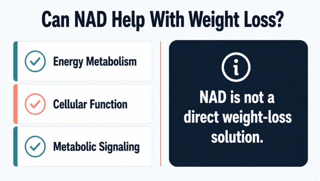 Can NAD Help With Weight Loss Can NAD Help With Weight Loss